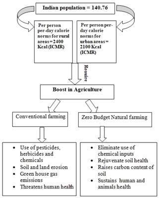 Synergizing biotechnology and natural farming: pioneering agricultural sustainability through innovative interventions